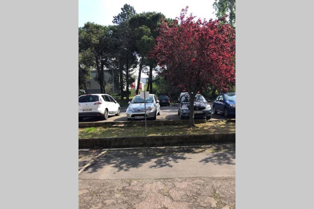 Bel Appartement Avec Vue Et Parking Prive Béziers Exteriér fotografie