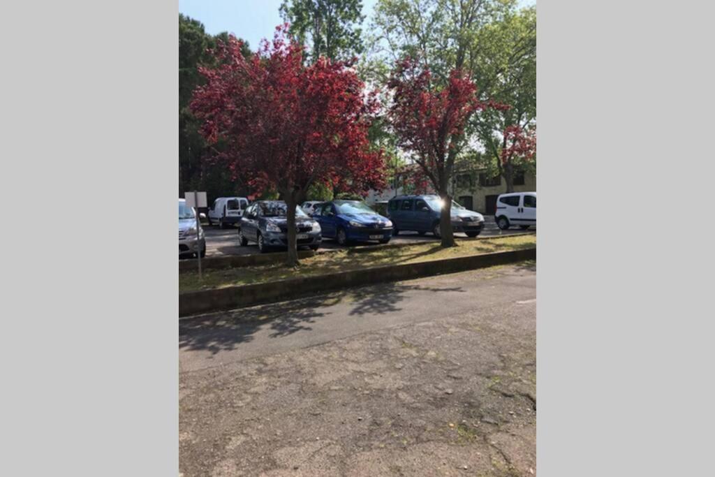 Bel Appartement Avec Vue Et Parking Prive Béziers Exteriér fotografie